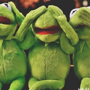 Meet your Posher, Paula